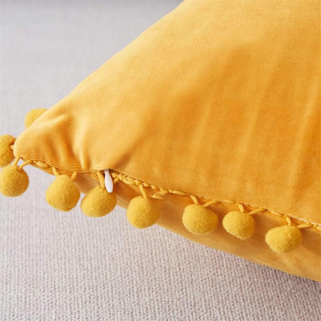 Minimalist Tassel Velvet Throw Pillow Covers