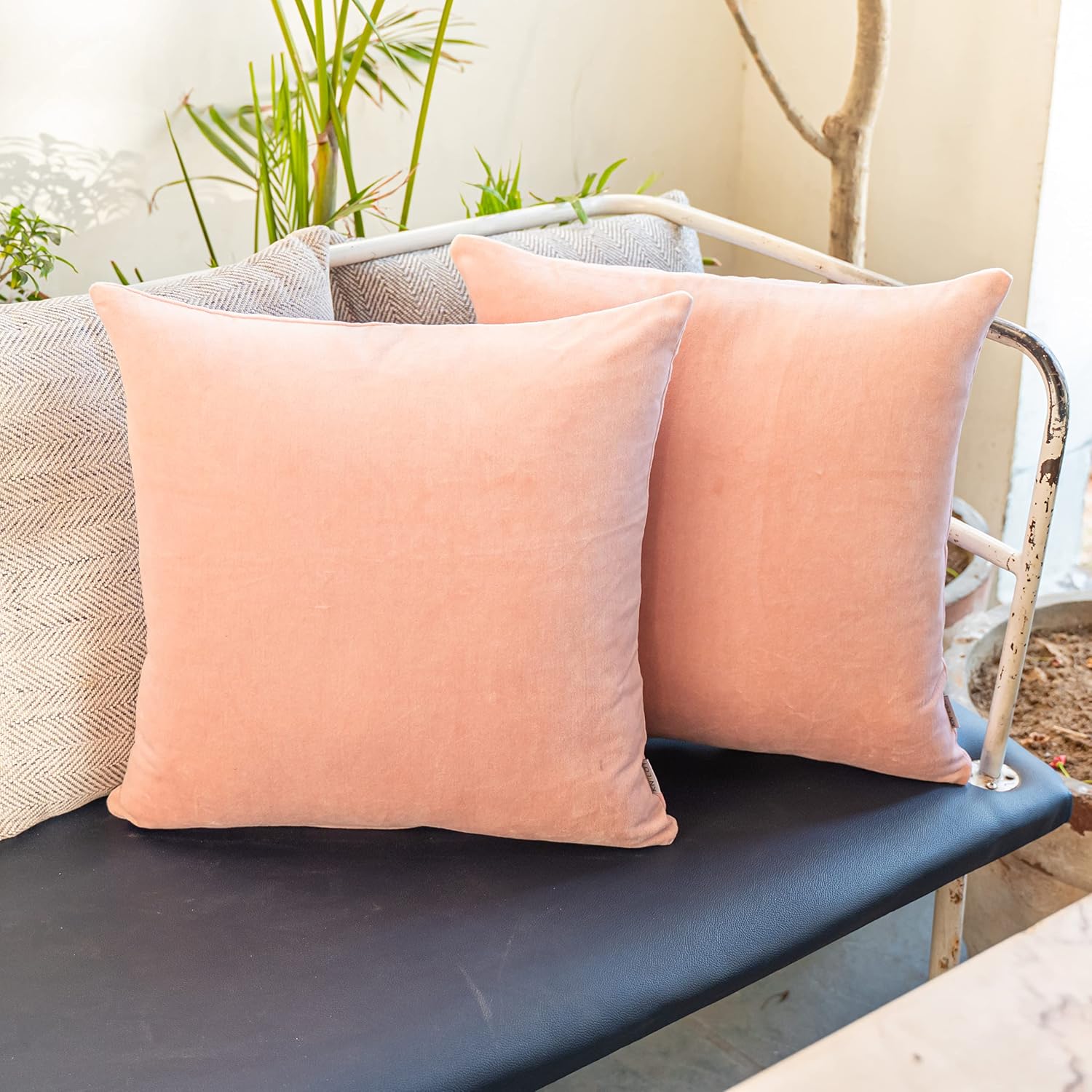 Blush Velvet Square Throw Pillow Covers 2 Pack